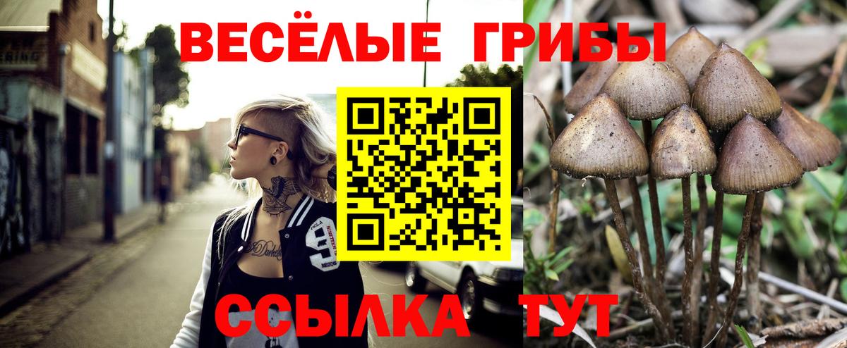 Галлюциногенные грибы MAGIC MUSHROOMS Реж
