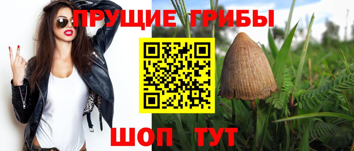 Галлюциногенные грибы Magic Shrooms  Вход с VPN  Реж 